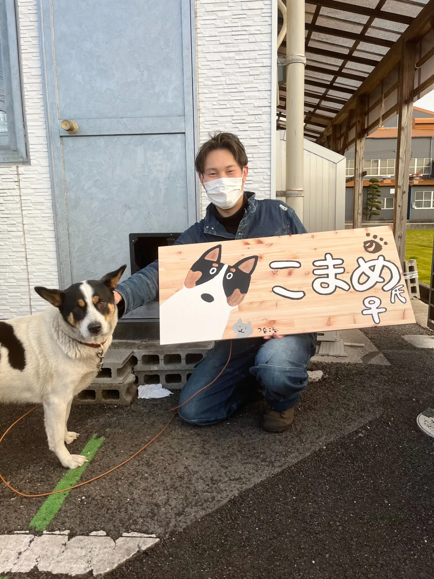 ご火葬された虹の橋のお友達🌈