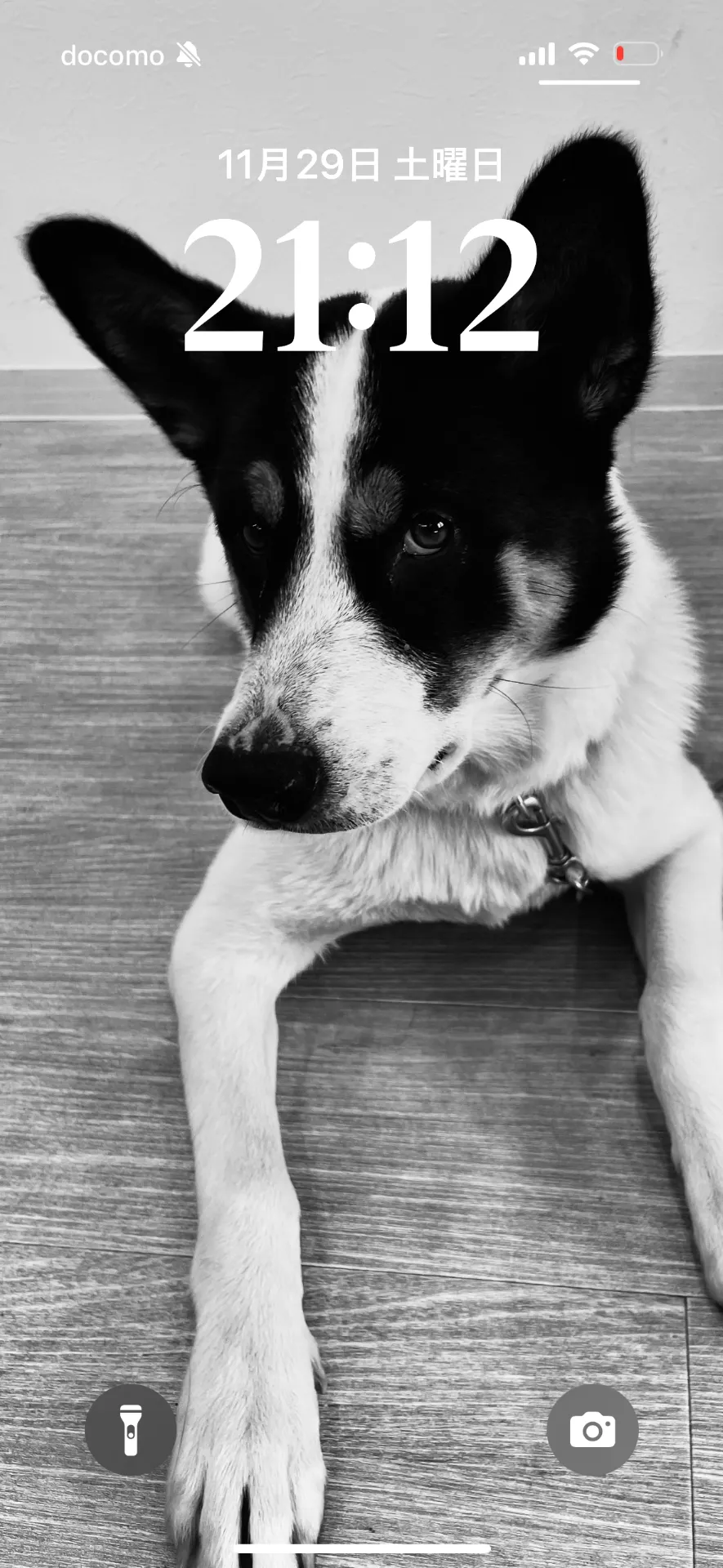 カッコつけこまめ氏😎